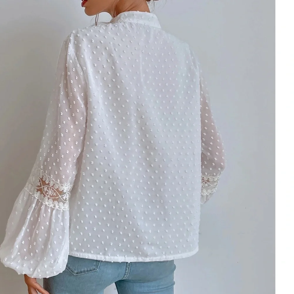 Swiss Dot V neck Tassel Tie Semi Sheer Long sleeve Top